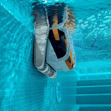 Robot da piscina Dolphin E60i – Pulizia automatica della piscina